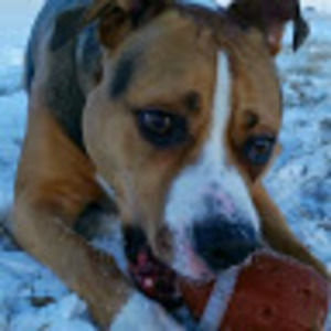 Meet your Posher, Kyle